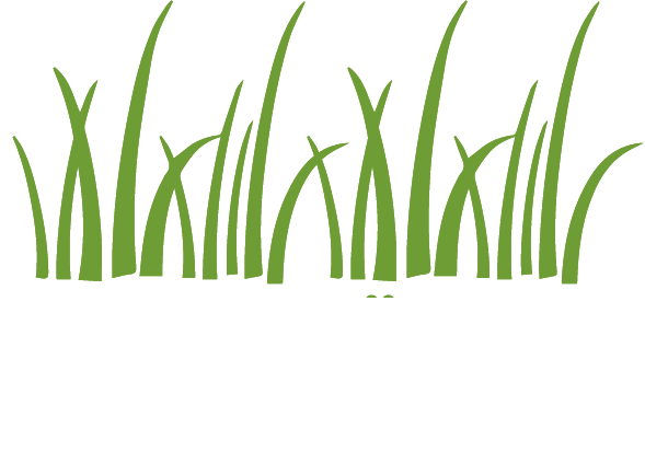 Rasendünger-Abo